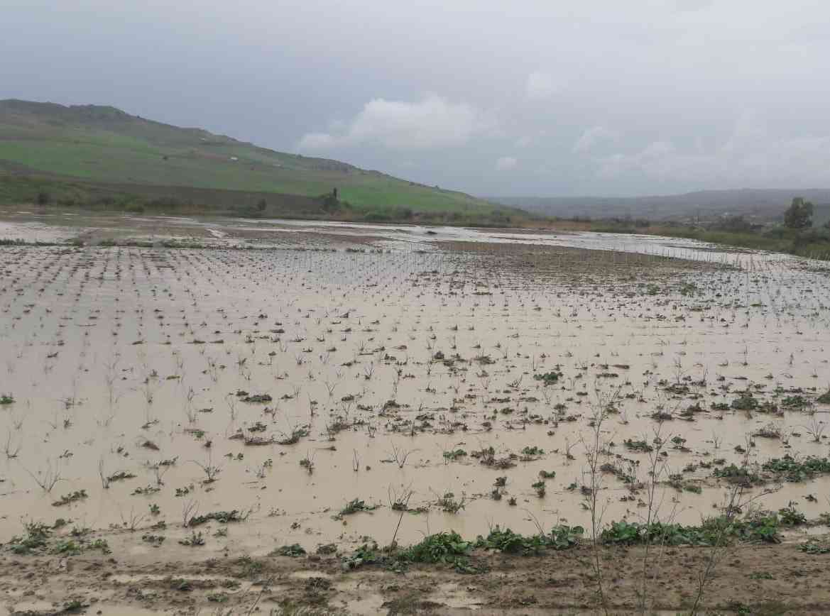 Immagine articolo: Poggioreale, richiesta interventi per il fiume Belìce