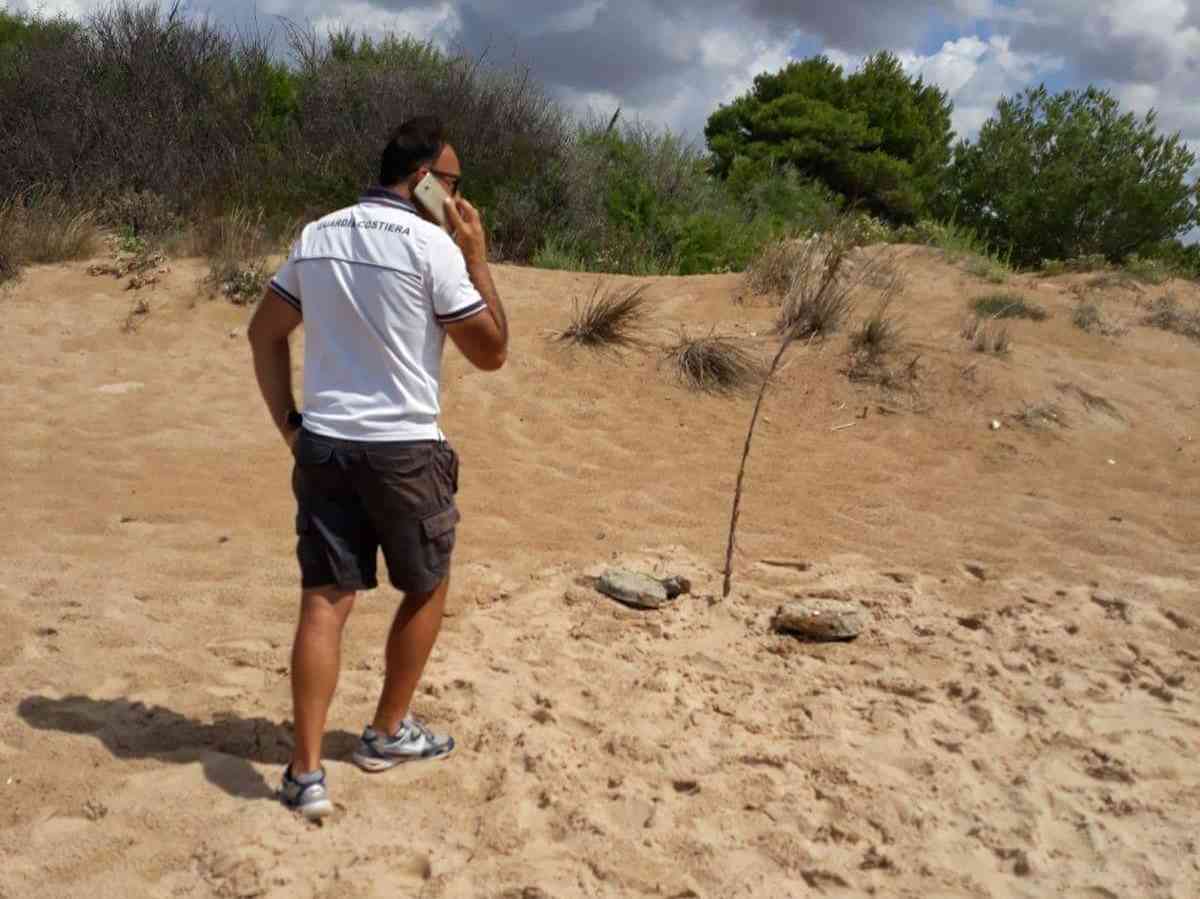 Immagine articolo: Menfi. Lido Fiori. Ritrovati due nuovi ordigni bellici