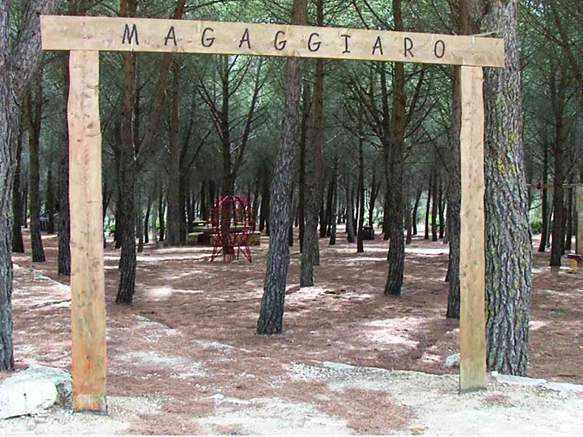 Immagine articolo: Menfi. Plastic Free si sposta al Magaggiaro. Domenica passeggiata ecologica al bosco