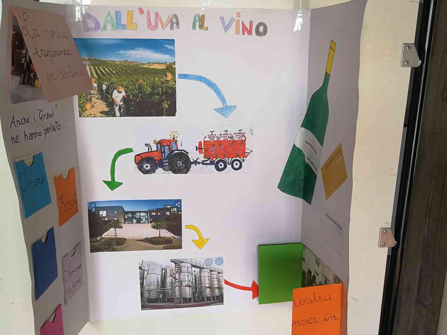 Immagine articolo: Progetto “Viticoltura 50”: grande successo per il progetto sui 50 anni di Viticoltura a Menfi