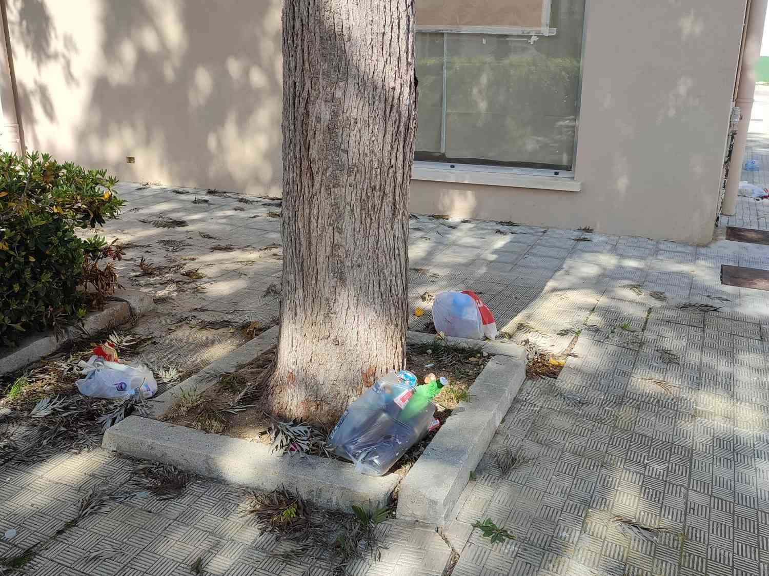 Immagine articolo: Menfi, piazzetta Venezuela di nuovo nel mirino di cittadini senza scrupoli. Angelica Salerno: “Avevamo ripulito tutto, ma è di nuovo sporco. Chiediamo rispetto per il nostro lavoro”