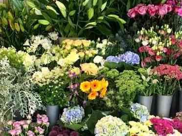 Immagine articolo: Covid, a settembre torna “BonuSicilia - Fiorai“. Ecco entro quando presentare la domanda