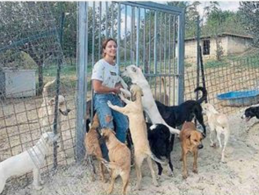 Immagine articolo: Santa Margherita, un canile per salvare i cani abbandonati. Il sogno di Chiara Calasanzio diventa realtà