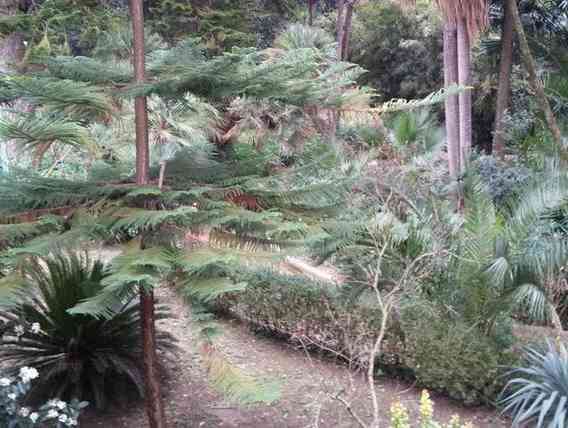 Immagine articolo: Santa Margherita di Belice, finanziato progetto per i “Giardini del Gattopardo“