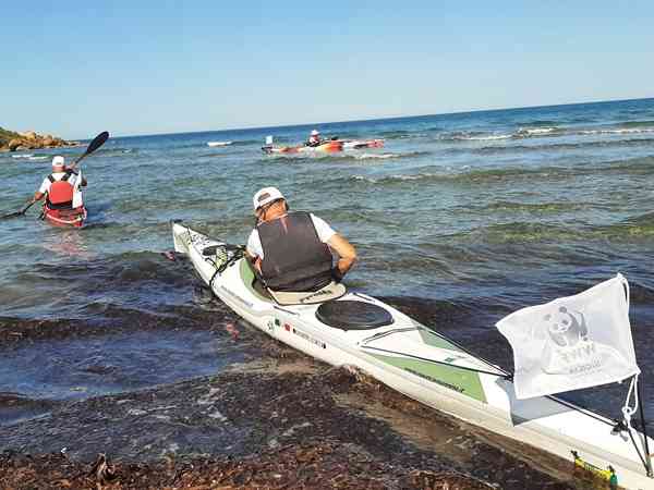 Immagine articolo: Missione plastic free: volontari del Wwf in kayak da San Marco a Menfi come “sentinelle del mare“