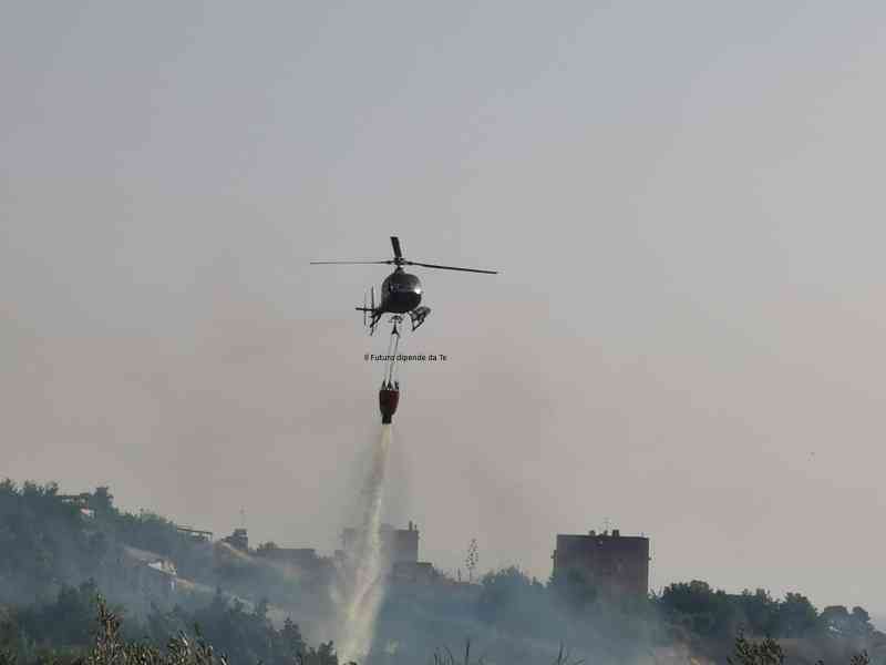 Immagine articolo: Menfi, vasto incendio ha divorato diversi ettari di terreno. Intervenuto anche un elicottero