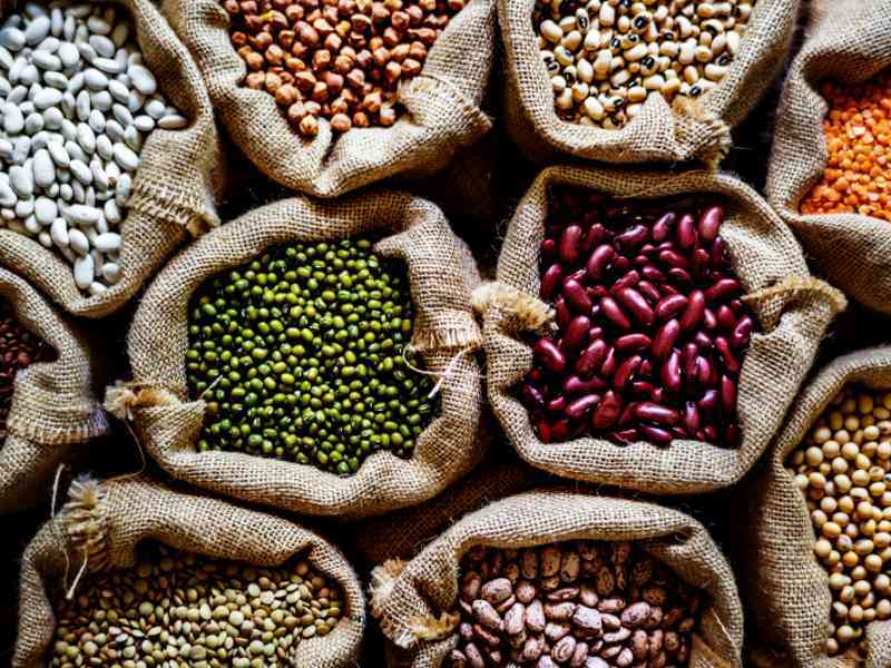 Immagine articolo: Alla scoperta dei legumi. Proprietà e caratteristiche benefiche. Ecco perchè fanno bene alla salute