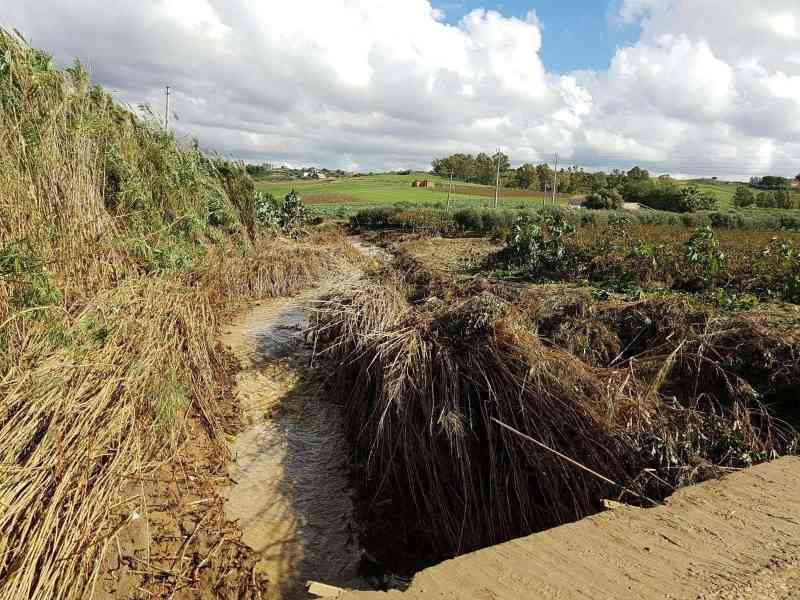 Immagine articolo: Dalla Regione 720 Mila Euro per la pulizia dei valloni di Menfi. Previsti interventi per Mandrarossa, Cavarretto Mirabile e Femminamorta
