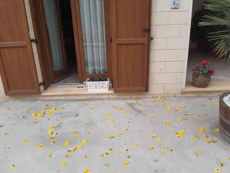 Immagine articolo: Primo Maggio a Menfi tra “Sciuri di Maju”, storia e tradizioni siciliane