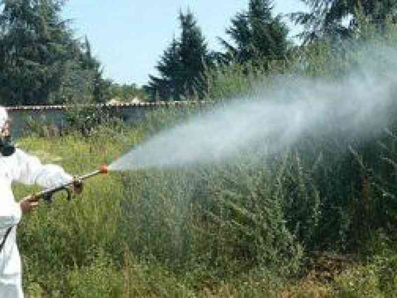 Immagine articolo: MENFI, da lunedì prossimo al via tre giorni di disinfestazione e disinfezione delle scuole dell'obbligo