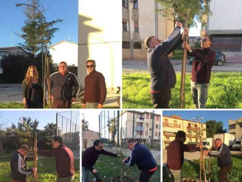 Immagine articolo: Oggi 21 novembre Giornata nazionale degli alberi. Anche Menfi aderisce all’iniziativa.