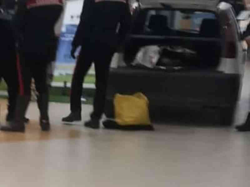 Foto: castelvetranonews.it