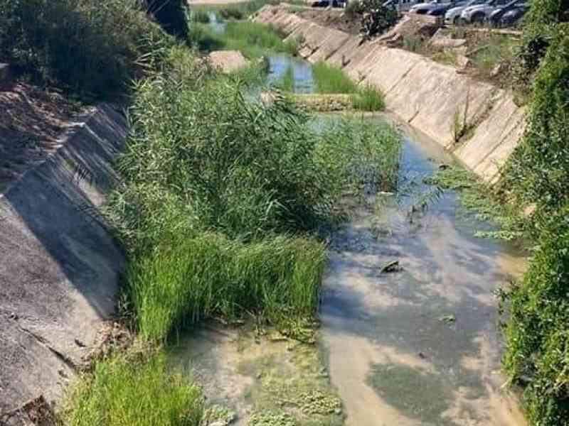 Immagine articolo: Menfi, convenzione tra il Comune e l'Autorità di Bacino della Regione: al via la pulizia di due corsi d’acqua