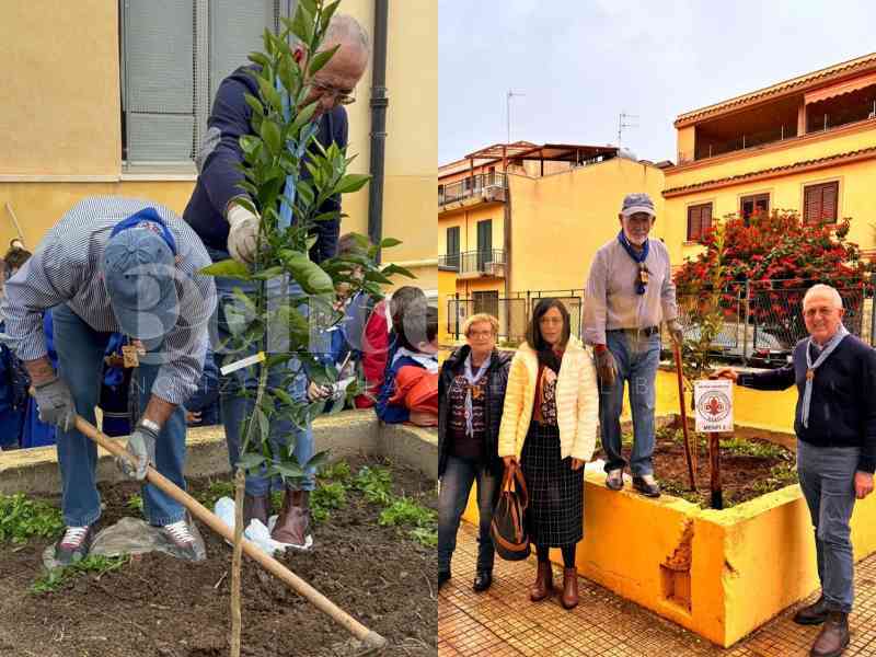 Immagine articolo: Menfi. Festa dell'Albero all'I.C. “Santi Bivona”. Il Masci Menfi 2 pianta un arancio nel plesso “Norino Cacioppo”