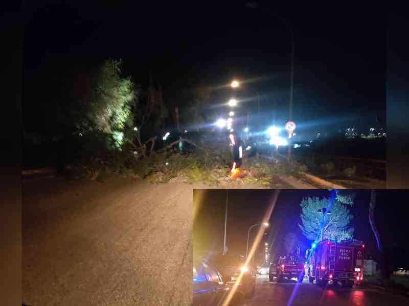 Immagine articolo: Forte vento a Menfi: albero cade su un'auto e la ribalta