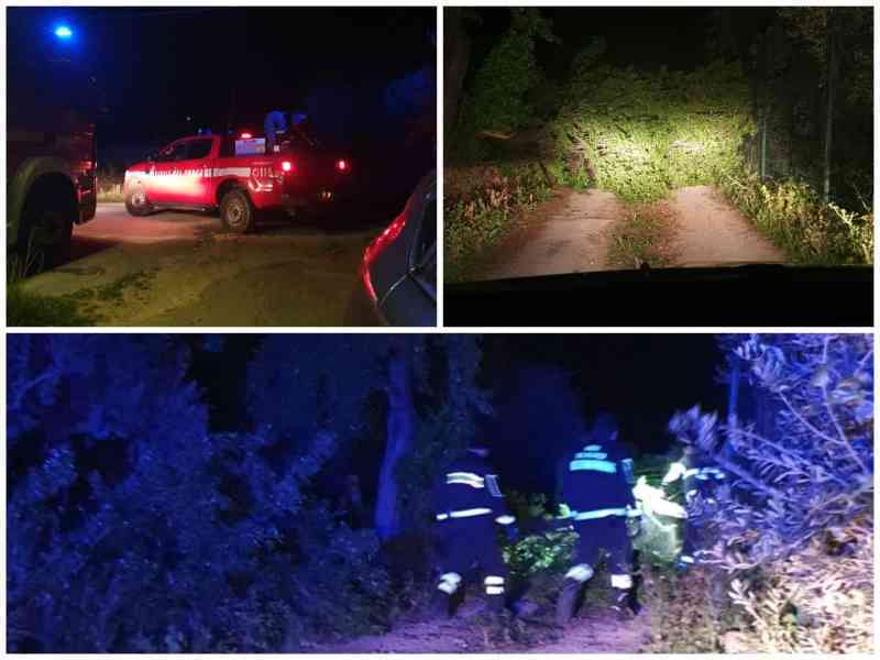 Immagine articolo: Menfi. Forte vento nella notte. Strada bloccata da albero caduto, intervengono i Vigili del Fuoco