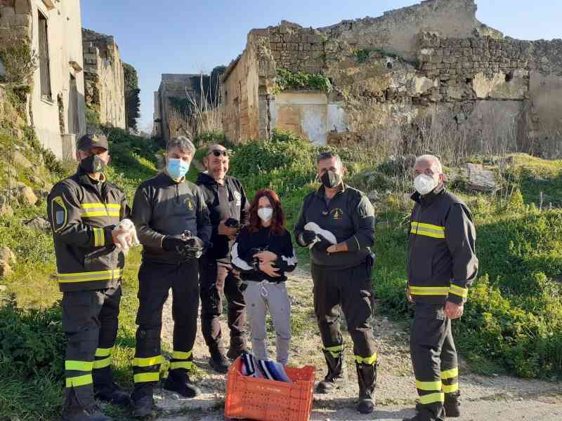 Immagine articolo: Otto cuccioli gettati dentro un pozzo a Santa Margherita. Salvati dai Vigili del Fuoco