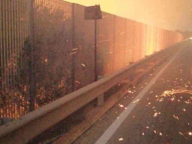 Immagine articolo:  A fuoco oltre 70 ettari di macchia mediterranea a Nord di Menfi in contrada Feudotto