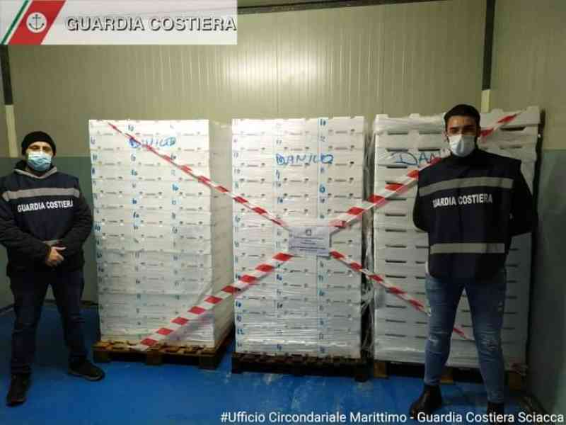Immagine articolo: Sciacca, detenzione illegale di tonno rosso di 55 chilogrammi e verbale per € 2.666