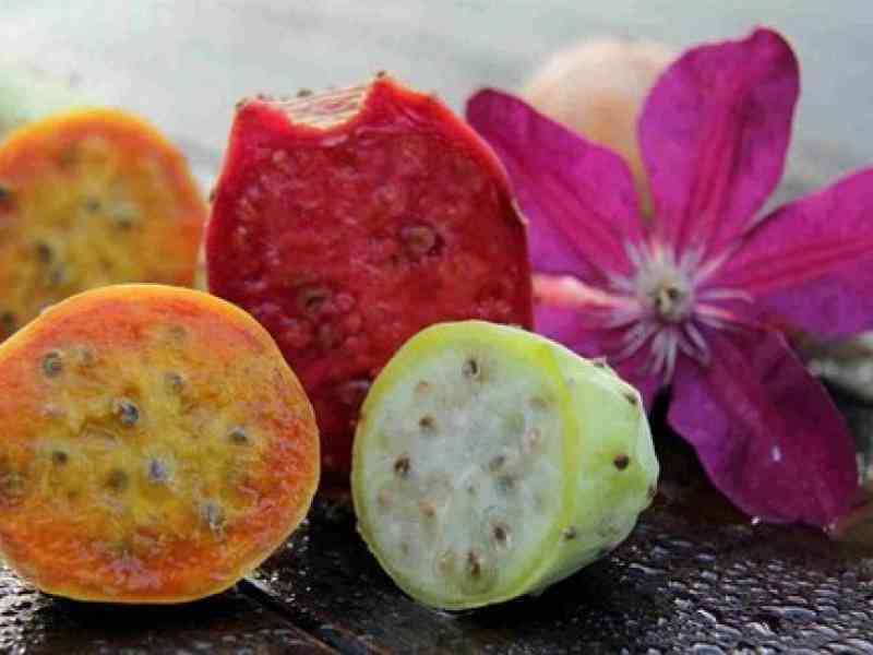 Immagine articolo: Fico d'India, il cibo del futuro. Ecco come si posiziona l'Italia nella classifica