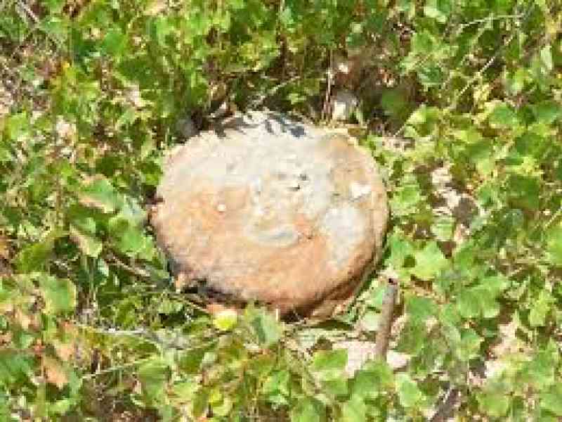 Immagine di repertorio