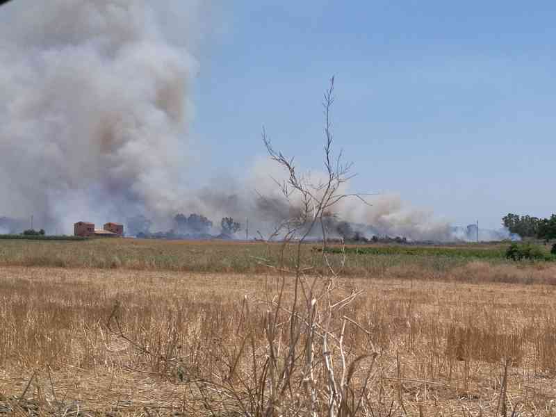 Immagine articolo: Menfi. Brutto incendio tra Fiori e Porto Palo. Le fiamme spaventano i residenti