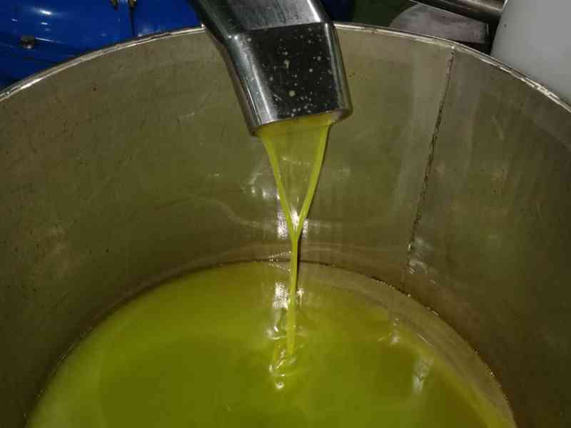 Immagine articolo: Menfi entra nel progetto nazionale “Comunità dell’Olio“. I vantaggi per le aziende che aderiranno