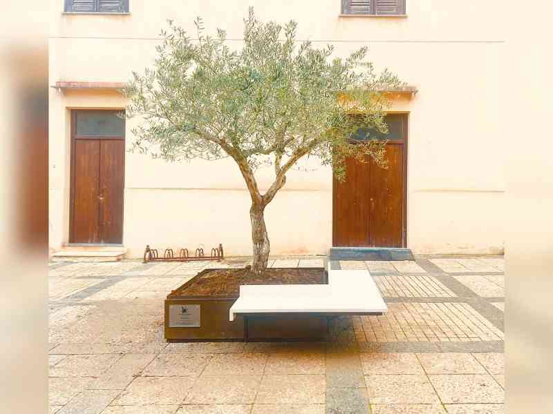 Immagine articolo: Menfi. Domani l'inaugurazione di un decoro urbano per la pace e per la cultura