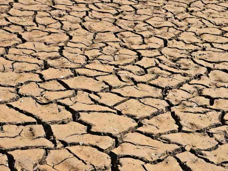 Immagine articolo: Agricoltura, al via il bando per interventi per fronteggiare la crisi idrica, le domande entro il 30 settembre 2024