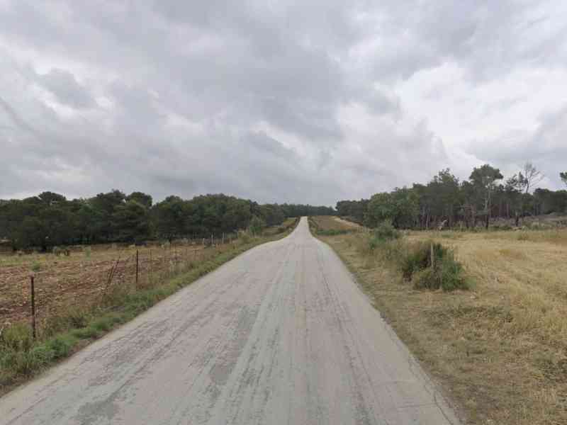 Immagine articolo: Montevago, finanziamento da mezzo milione di euro per ripristino strada “Magaggiaru“