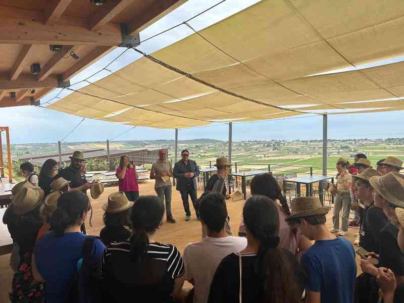 Immagine articolo: Gli studenti di Menfi alla scoperta della viticoltura. Successo per il progetto Kiwanis “AgriCultura, insieme con gli Studenti per una filiera di Valori“