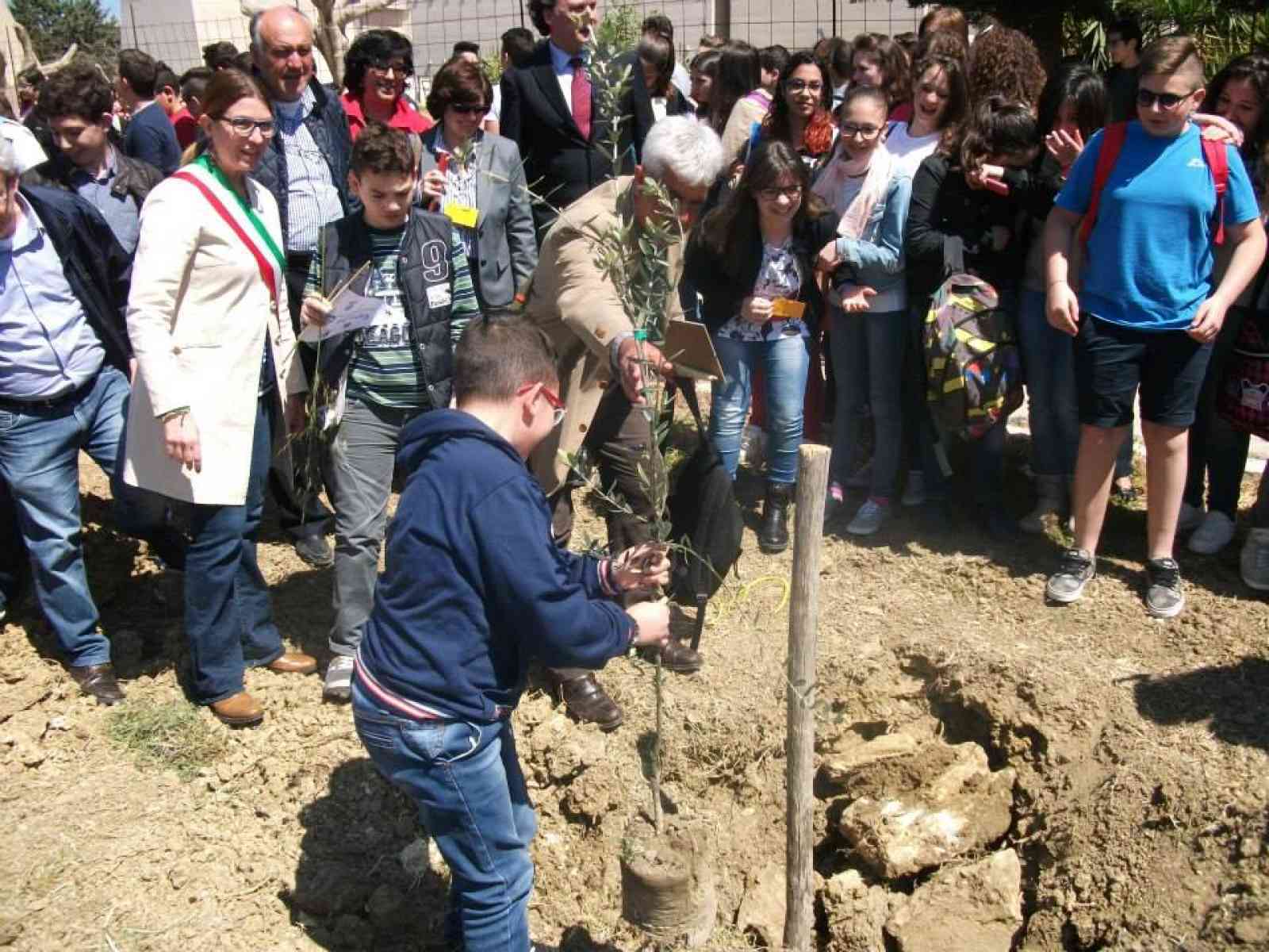 Giovani e giovanissimi piantano alberi di olivo per le strade di Menfi.