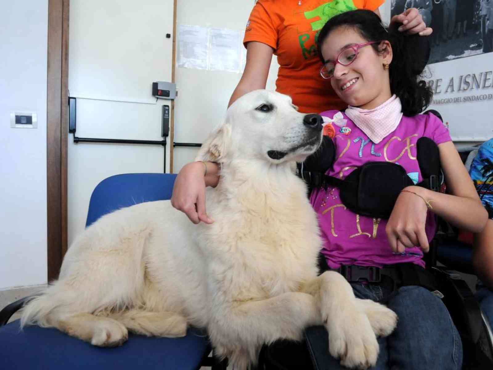Menfi. Light, un cane speciale che accende la luce e la TV per Francesca