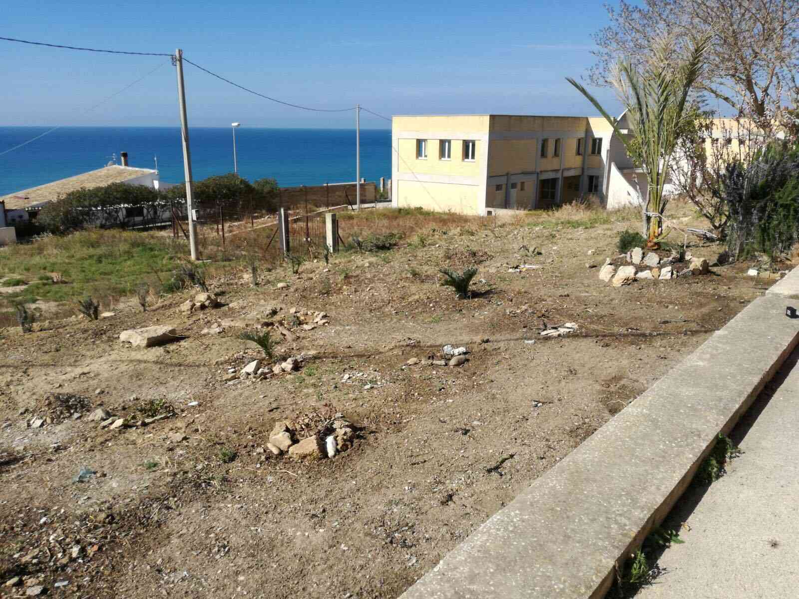 Menfi. Gruppo di volontari ripulisce e pianta alberi vicino la Torre di Porto Palo