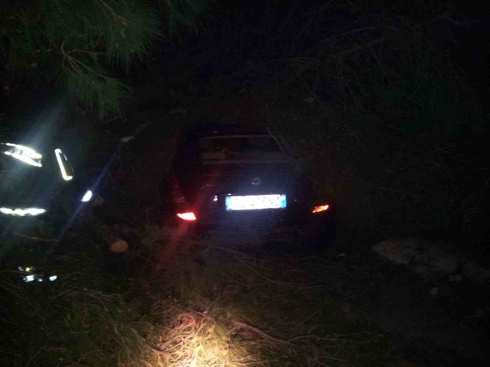 Albero si abbatte su auto per il maltempo. Fortunatamente nessun ferito