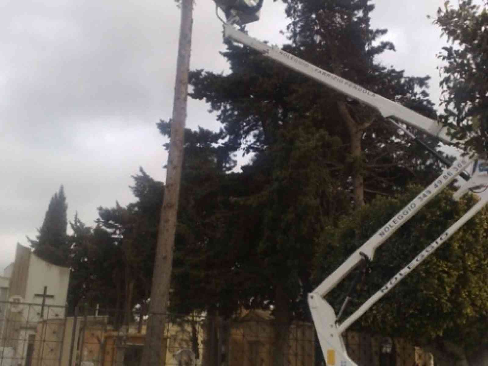 Da lunedì parte il servizio di potatura degli alberi nelle vie cittadine