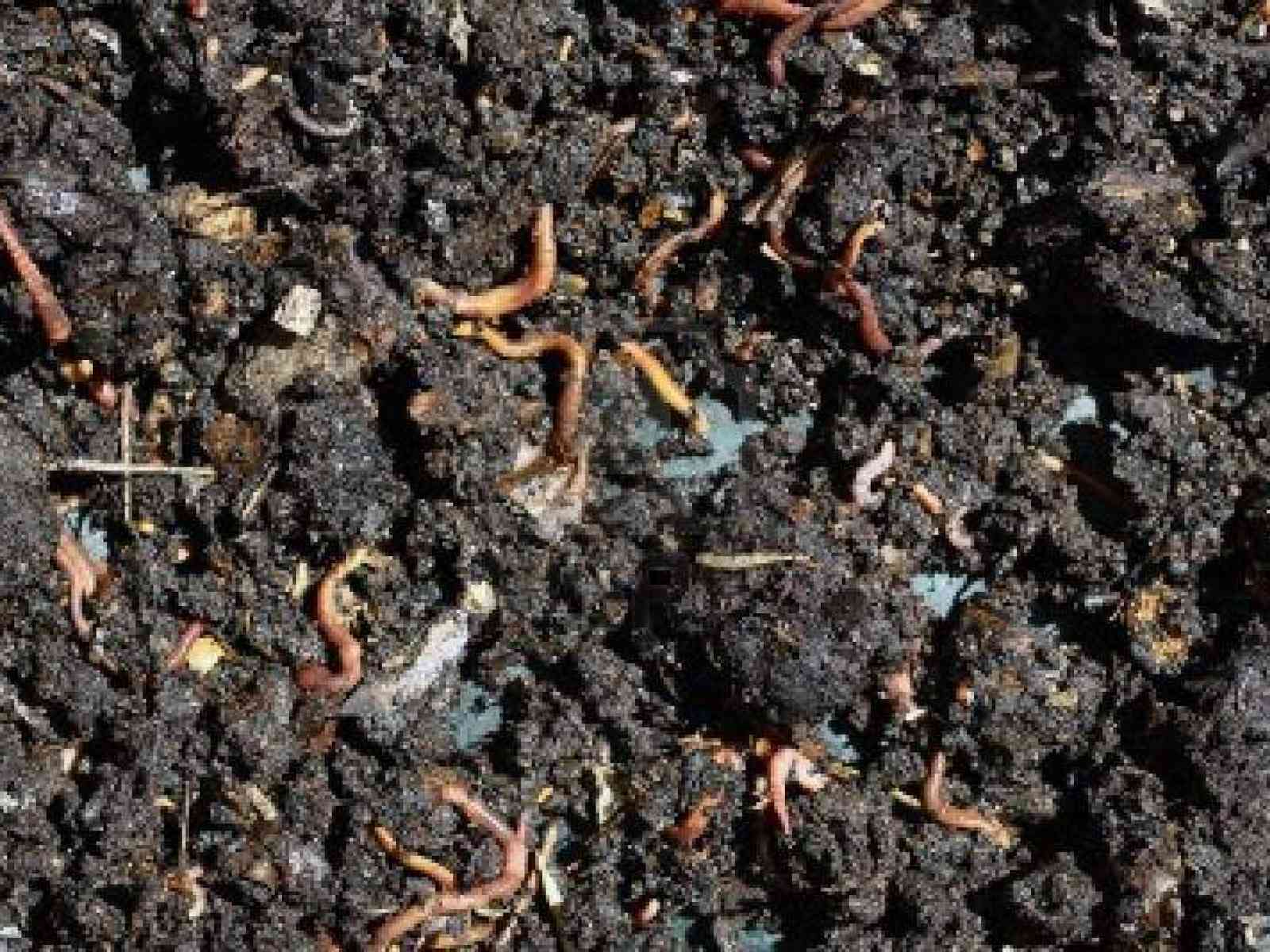 ARO sperimentale Poggioreale-Salaparuta: differenziato il 70% dei rifiuti