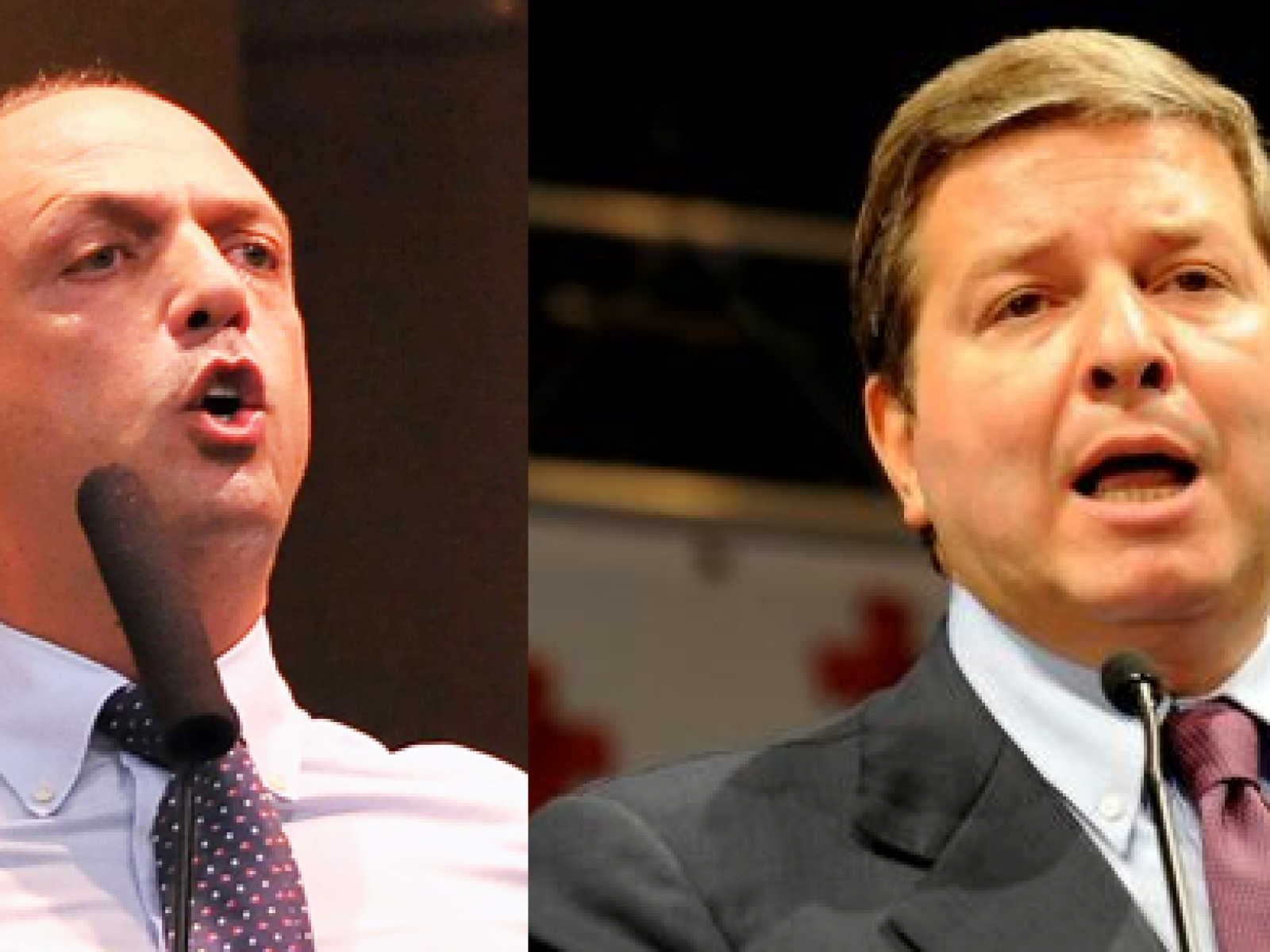 Europee, UdC e Nuovo centrodestra insieme in lista. La belicina Valenti probabile candidata