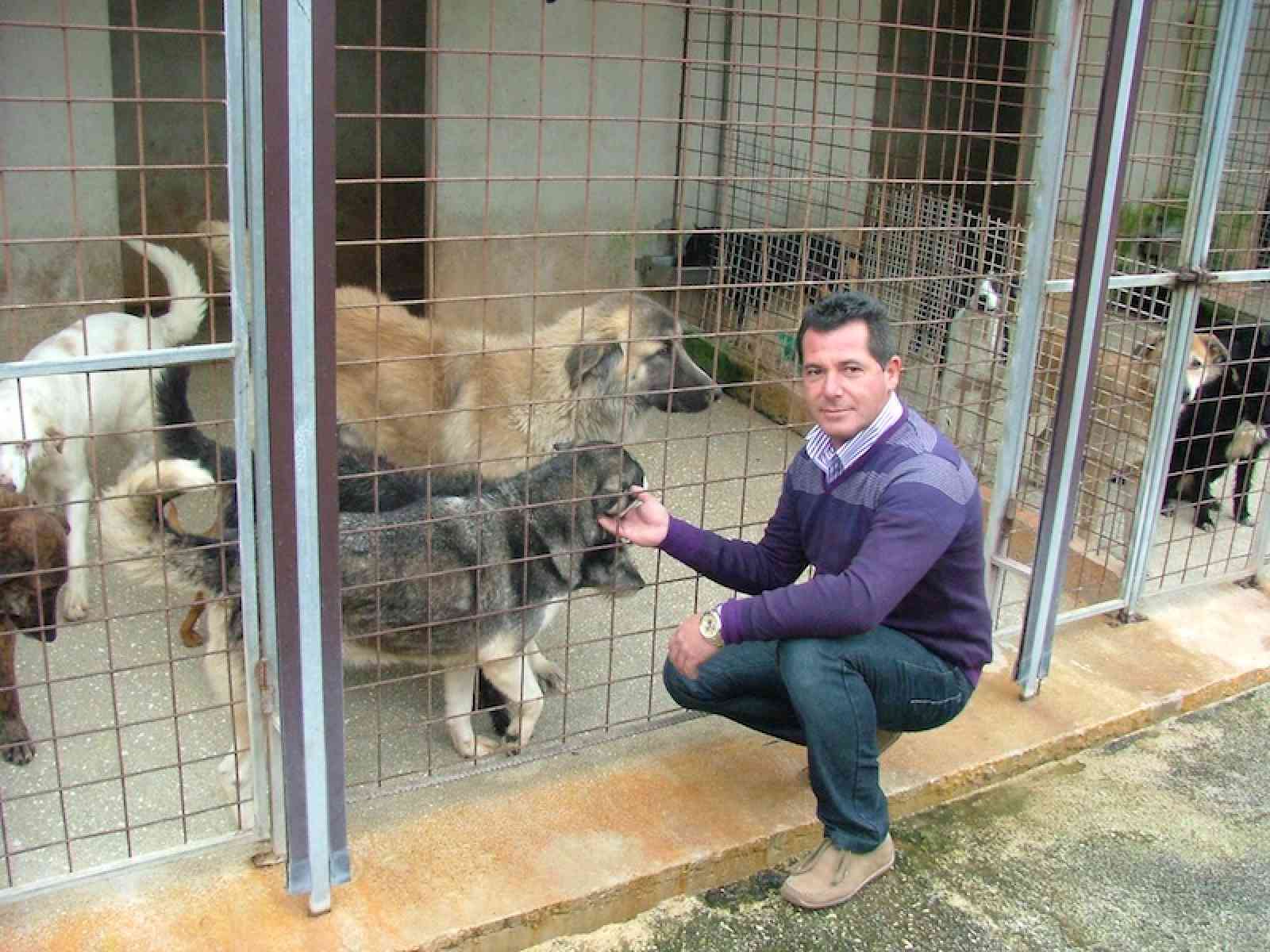 Pitbull aggredisce famiglia. Intervengono i gestori del canile di Santa Margherita di Belice