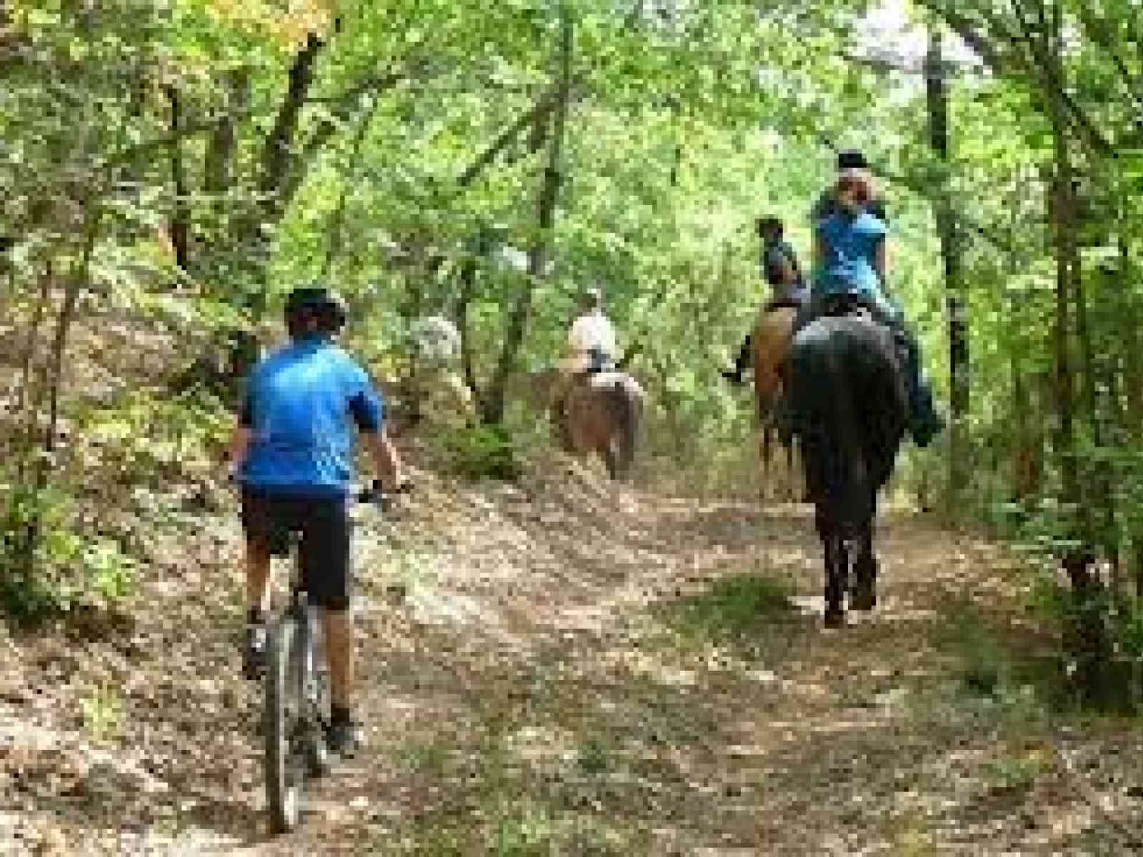 Organizzato il 1° raduno “Bici e Cavalli” per domenica 20 Ottobre