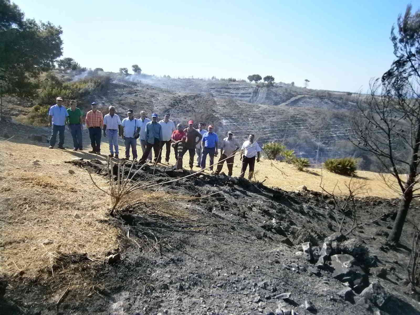Incendio Magaggiaro. In fumo 200 ettari di bosco. Rischiano lavoro 70 stagionali