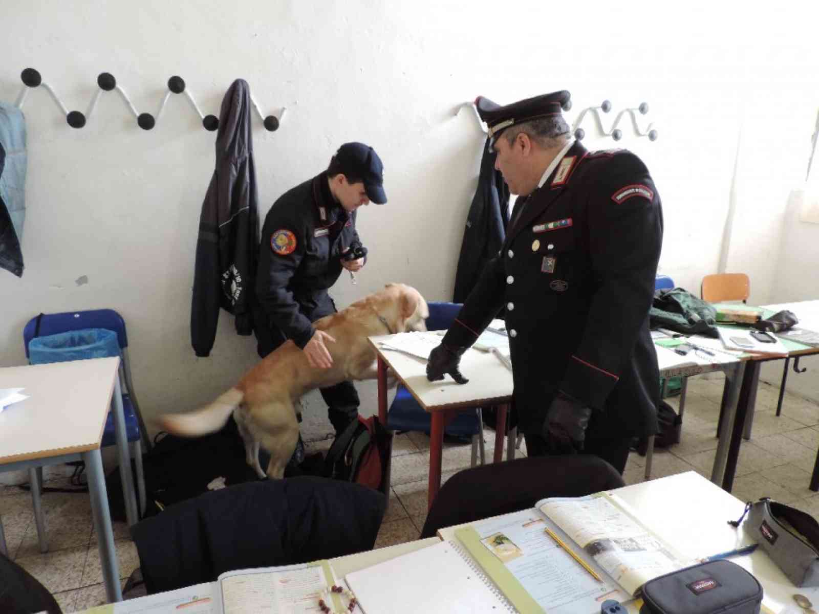 Cani antidroga in alcune classi dello Scientifico di Castelvetrano. Portati via due alunni