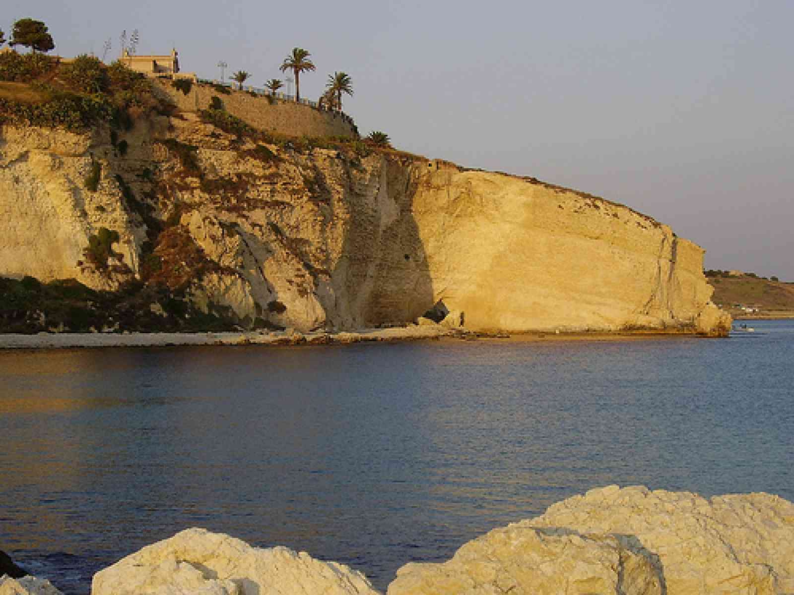 Incendio a coda della volpe