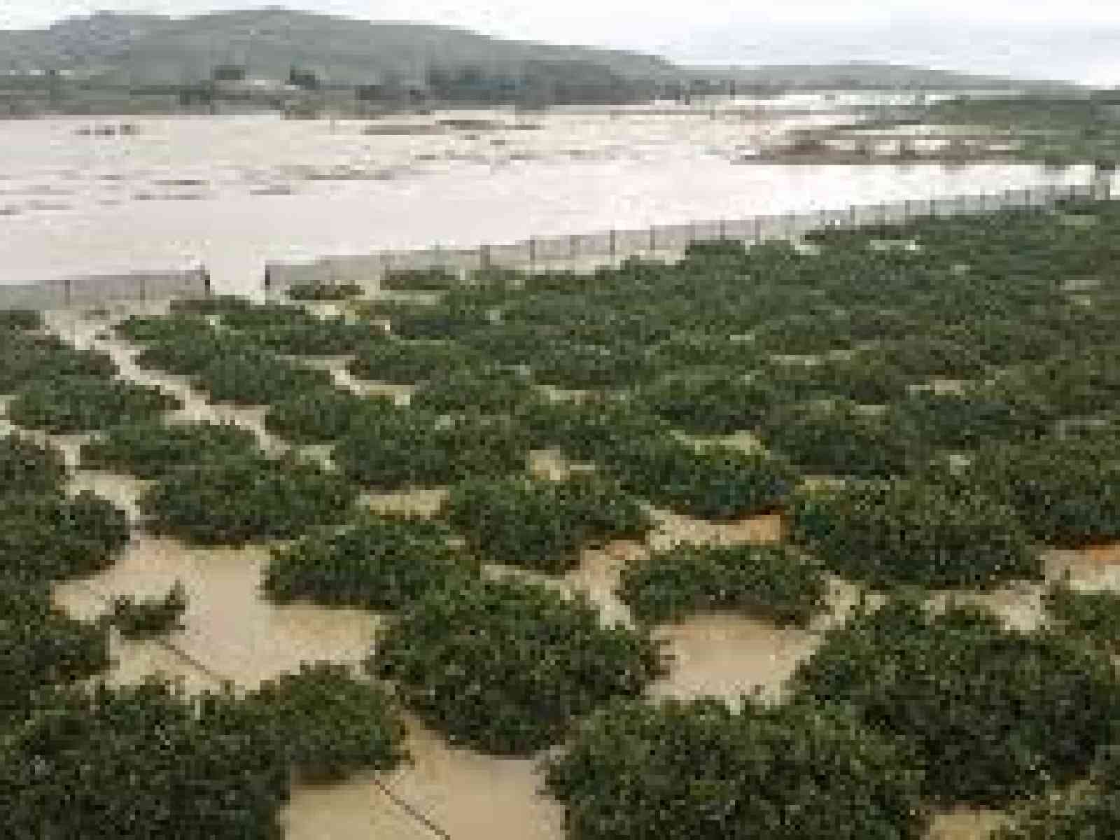 Esondazione Platani. M5S chiede Audizione di agricoltori e governo regionale. Si terrà il 5 marzo all’Ars