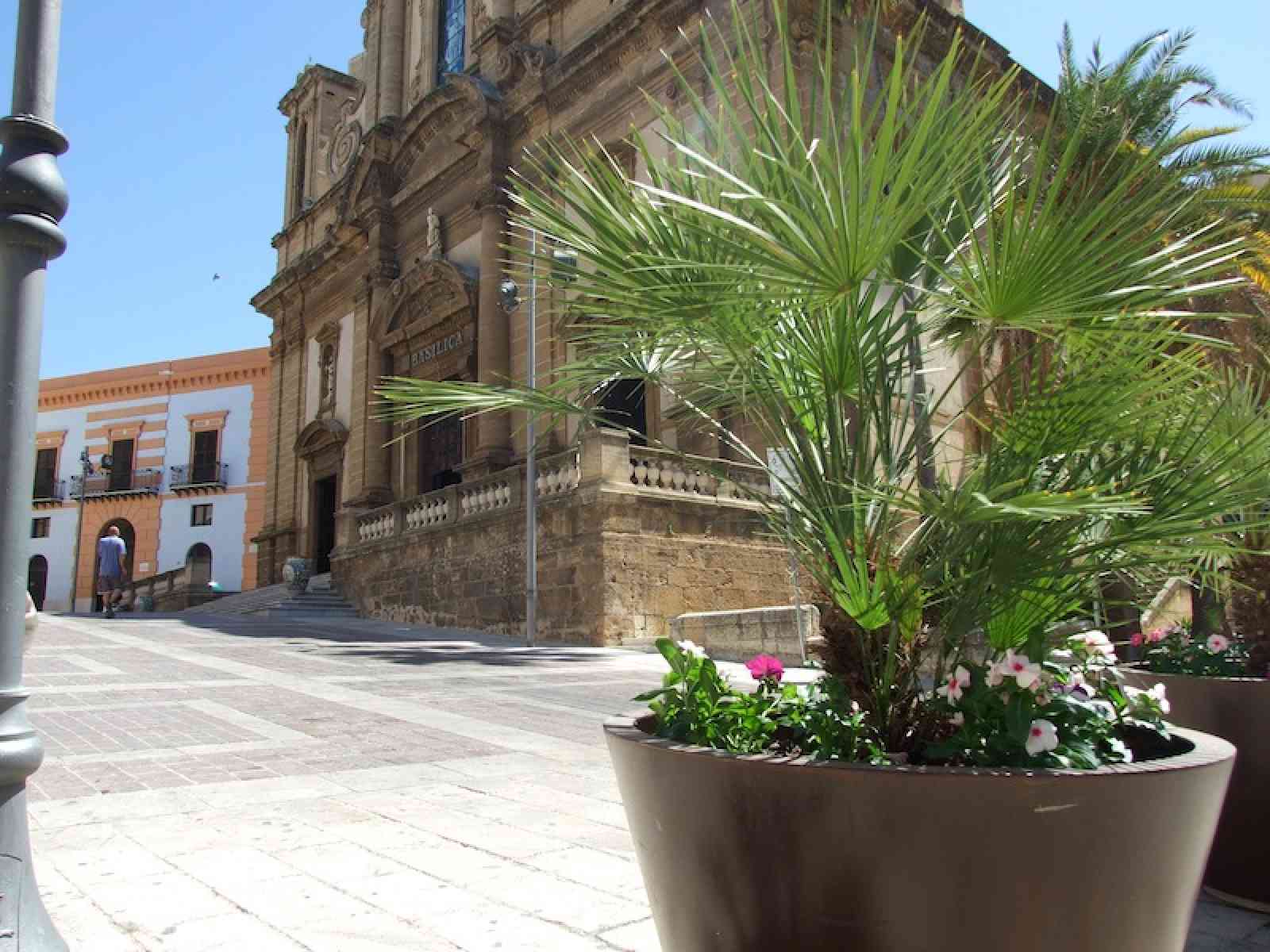 Verde nel centro storico, si arricchiscono di fiori i vasi delle piazze