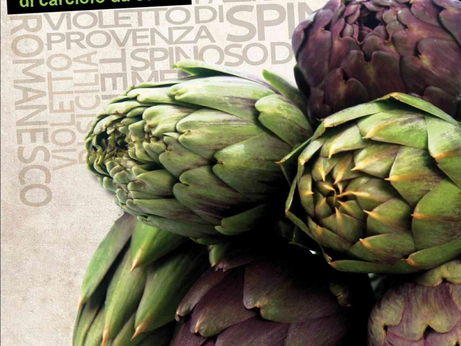 La SOAT organizza un incontro sul “Confronto di nuovi cloni di carciofo da seme”