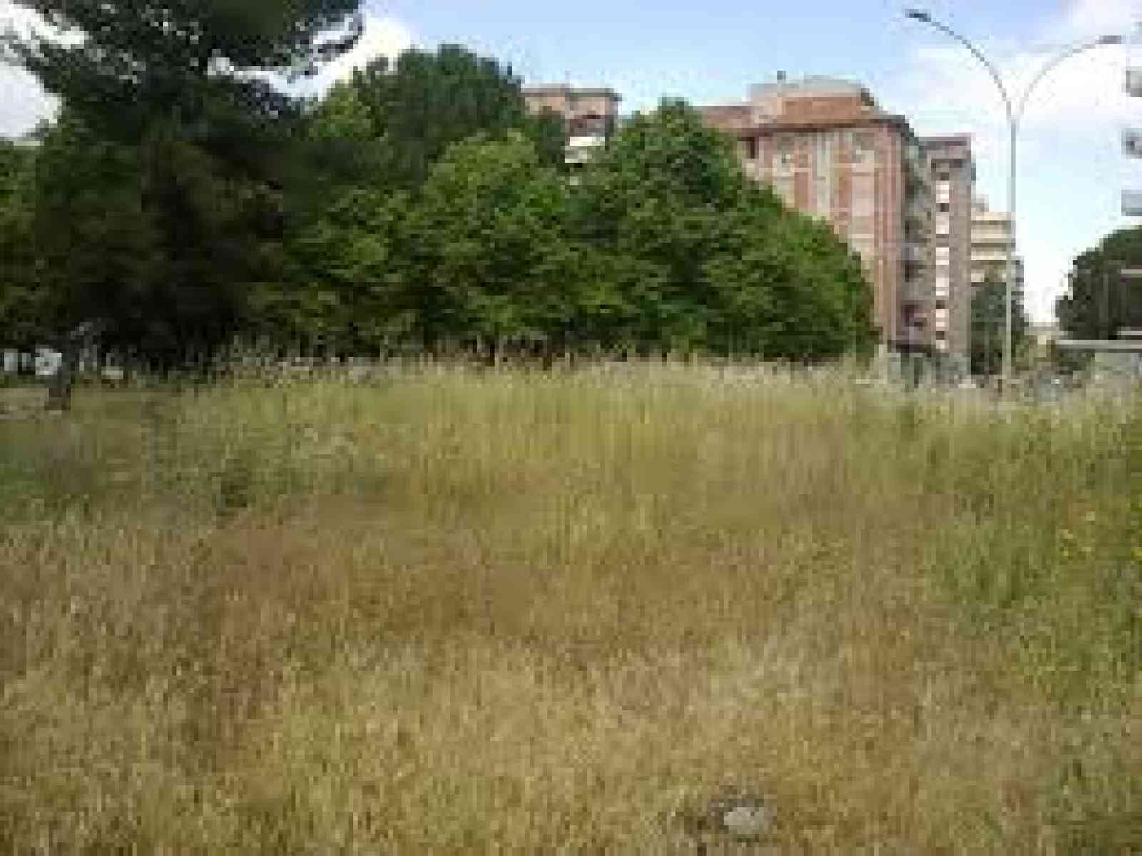 Pulizia aree incolte private a Sciacca, dopo il 15 giugno scattano controlli e sanzioni fino a 500 euro