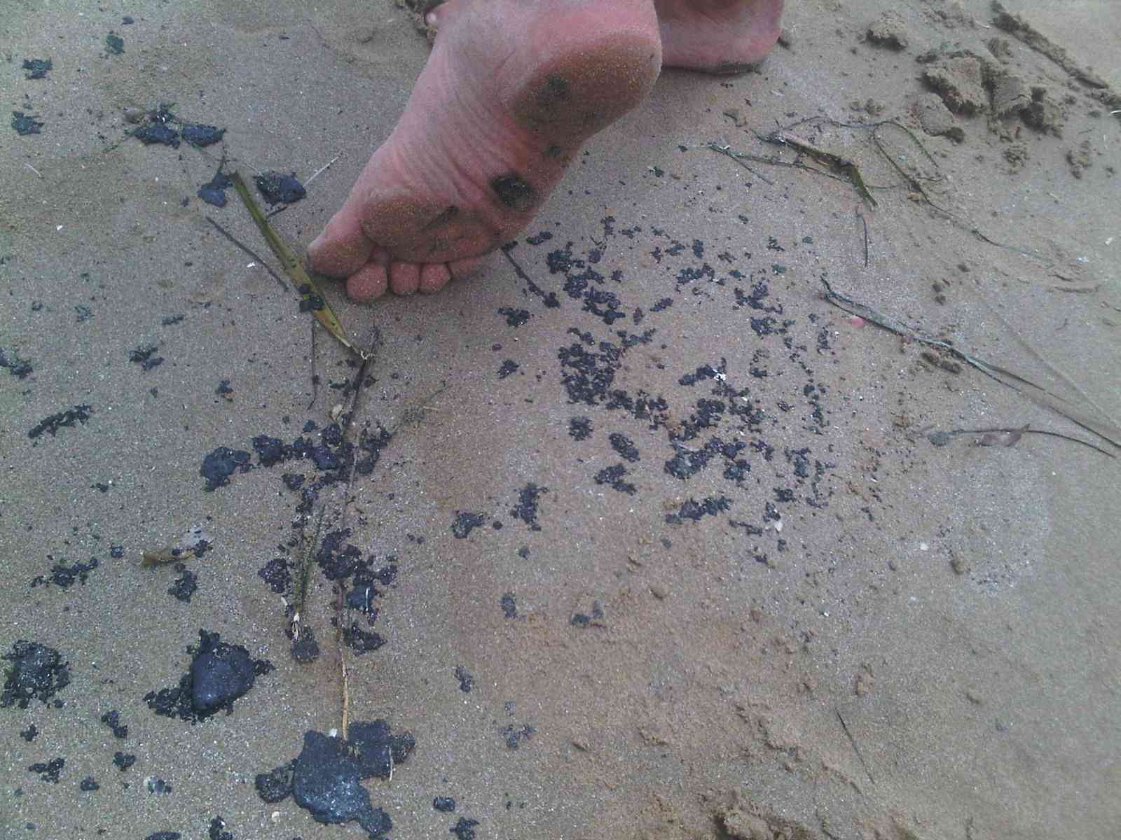 Spiagge invase dal catrame