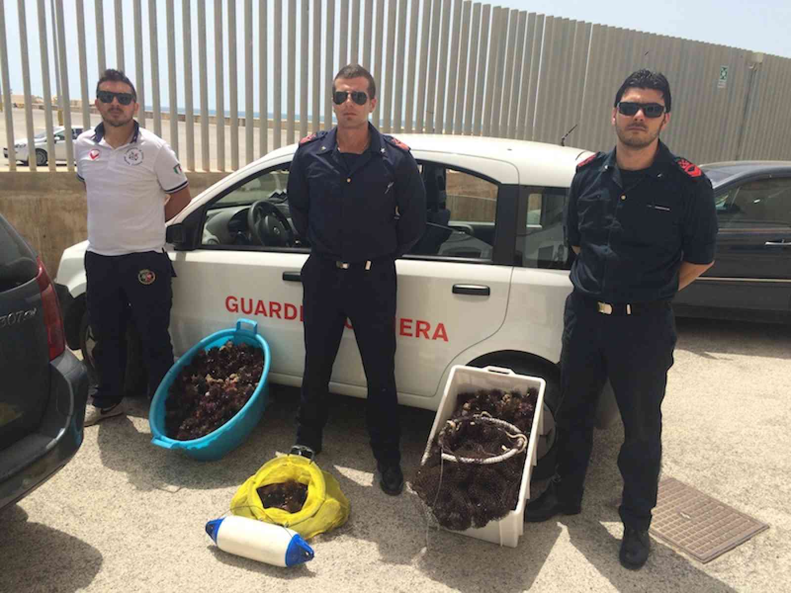 Sciacca. Scoperto a pescare 1000 ricci, conto salato: 4000€ di multa