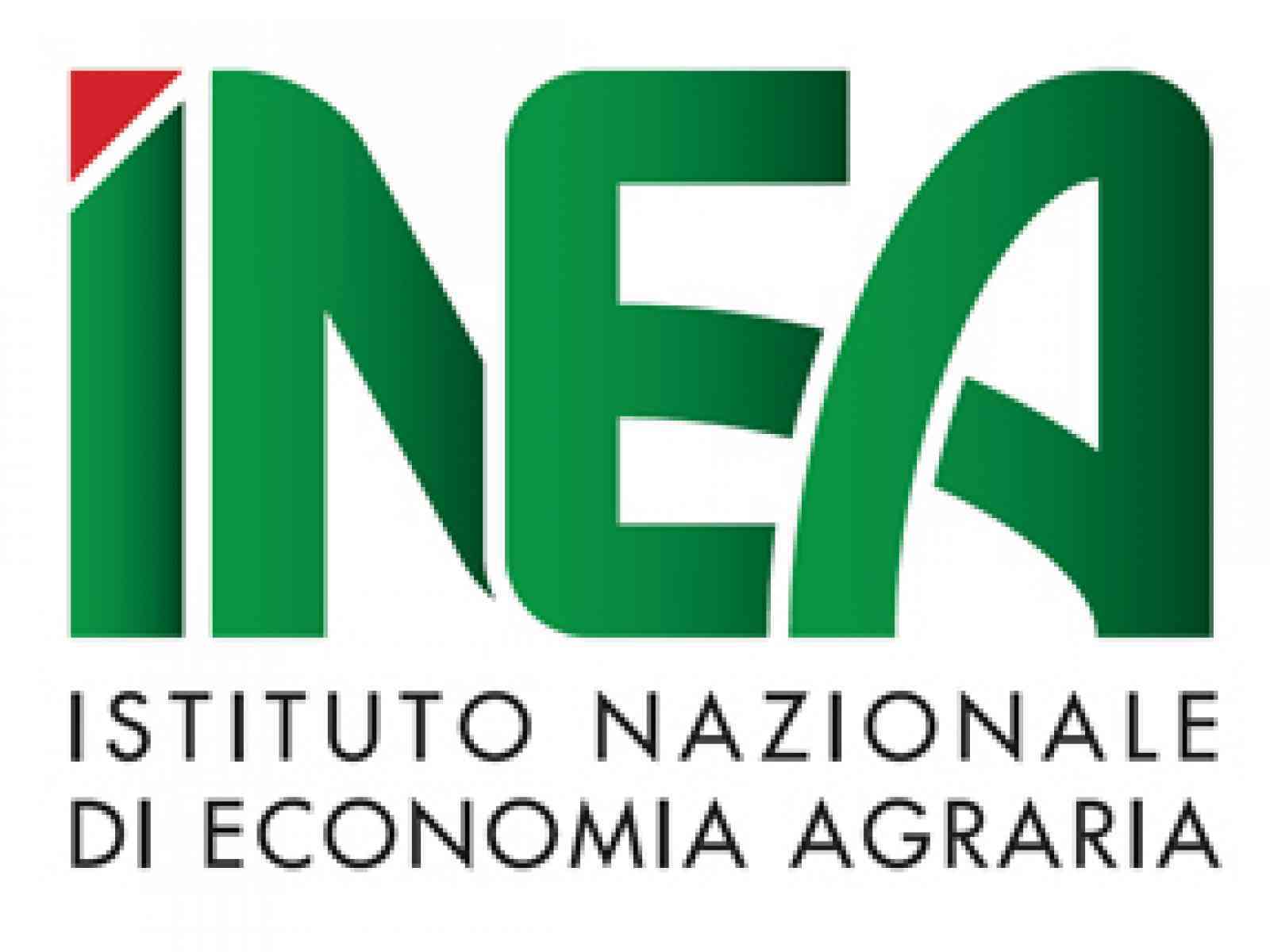 Borsa di studio messa in palio dalla S.O.A.T. di Menfi
